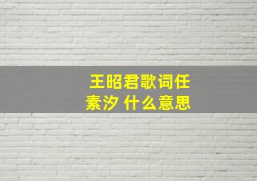 王昭君歌词任素汐 什么意思